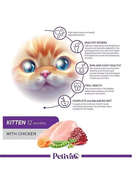 Yavru Kediler Için Tavuk Etli Kuru Kedi Maması (1.5 Kg, Tavuk) modelleri