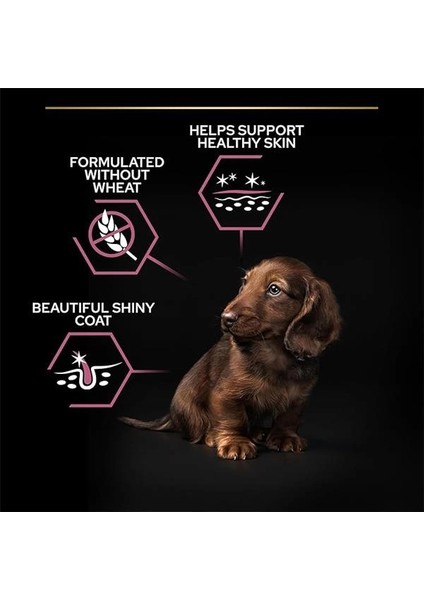Small & Mini Adult Somonlu Köpek Maması 3 kg indirimleri