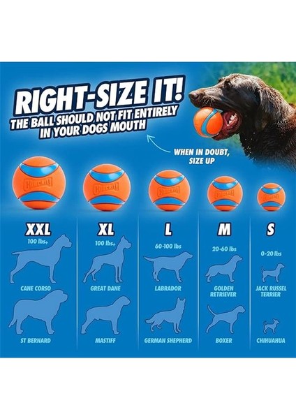 ! Classic Top Fırlatıcı (Tenis Topu Hediyeli), 66 cm Uzunluk indirimleri