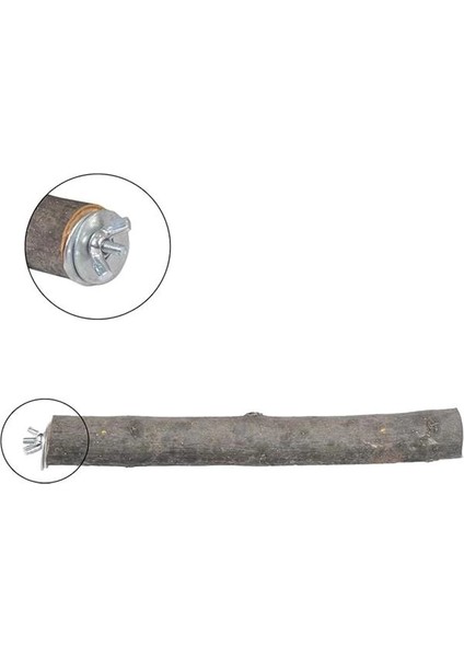 X-Perk Doğal Ağaç Papağan Kuş Tüneği Tünek Boy 20 cm fırsatları