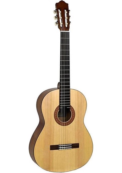 C30 Klasik Gitar fiyatları