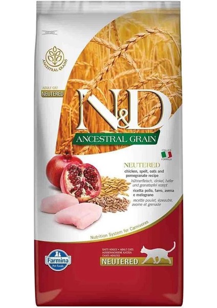 N&d Ancestral Grain Kuru Kedi Maması, Tavuk, Kılçıksız Buğday, Yulaf ve Narlı, Kısırlaştırılmış