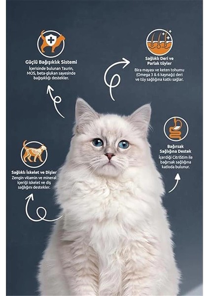 Kısırlaştırılmış Yetişkin Kedi Maması Somon&pirinç 15 kg modelleri