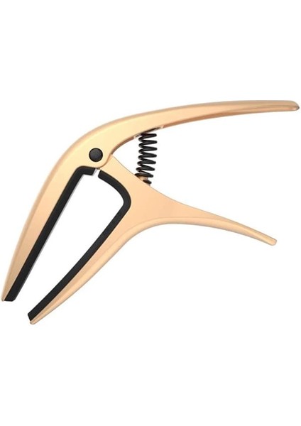 U Ekseni Çift Yarıçaplı Capo Altın Saten fiyatları