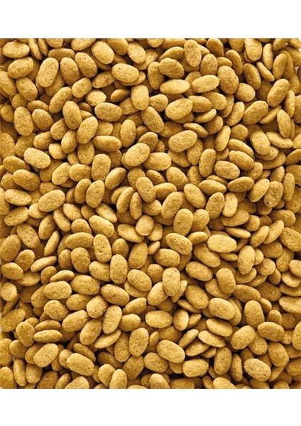 Versele Laga Nutrıbırd P15 Orıgınal Papağan Pelet Yem 1 kg Güncel Skt Yeni Üretim fırsatları