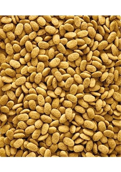 Versele Laga Nutrıbırd P15 Orıgınal Papağan Pelet Yem 1 kg Güncel Skt Yeni Üretim