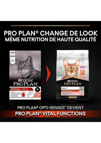 Somonlu ve Pirinçli Yetişkin Kedi Maması 3 kg fiyatları