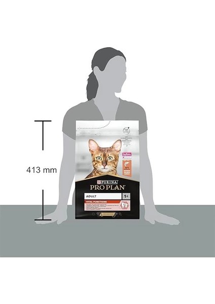 Somonlu ve Pirinçli Yetişkin Kedi Maması 3 kg modelleri