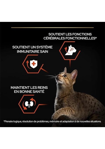 Somonlu ve Pirinçli Yetişkin Kedi Maması 3 kg fırsatları