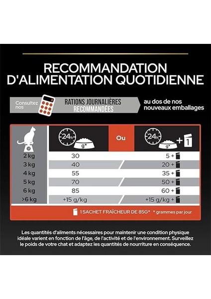 Somonlu ve Pirinçli Yetişkin Kedi Maması 3 kg