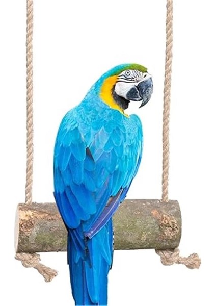 X-Perk Papağan Kuş Salıncağı Tüneği Kuş Tünek Dğal Ağaç Tünek Kuş Salıncak indirimleri