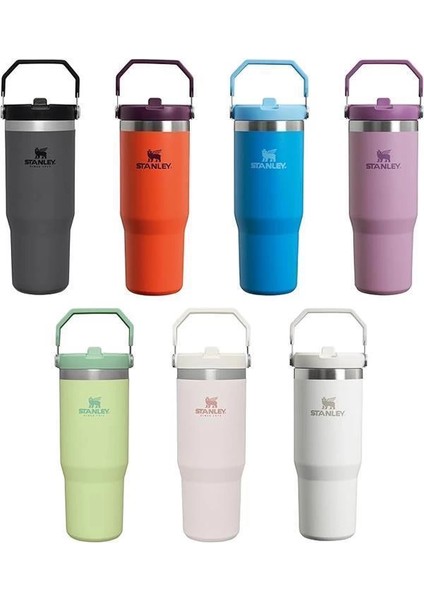 The Iceflow Flip Straw Pipetli Termos Bardak, 0.88 Lt