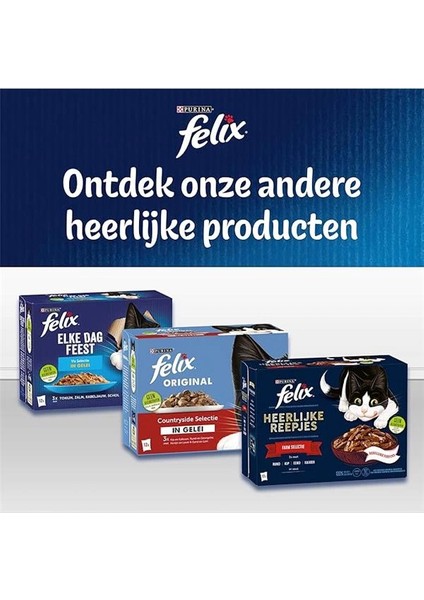 Countryside Sığır Etli & Tavuklu Sebzeli Kuru Kedi Maması 7,5 Kilogram modelleri