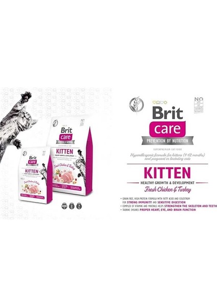 Care Kitten Healthy Gowth & Development, Yavru Kediler, Hamile Veya Emziren Kediler Için fiyatları