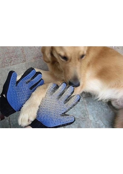 Evcil Hayvan Tüy Toplama ve Kaşıma Eldiveni, Kedi ve Köpekler Için Nazik Masaj Etkili