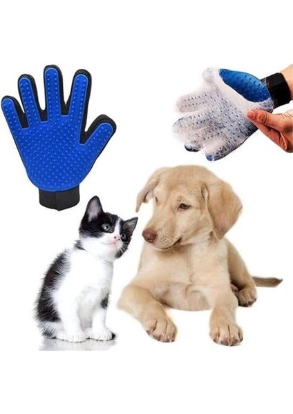 Evcil Hayvan Tüy Toplama ve Kaşıma Eldiveni, Kedi ve Köpekler Için Nazik Masaj Etkili fırsatları