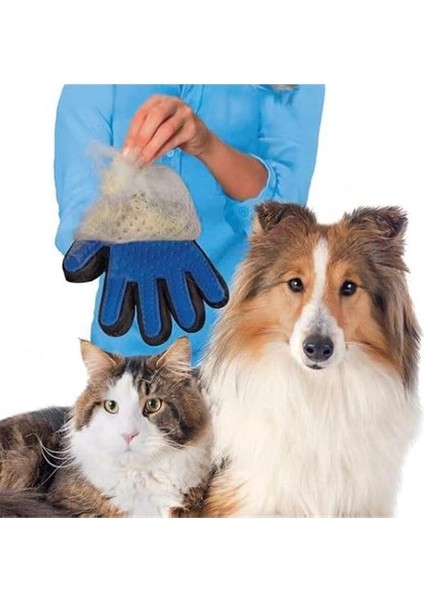 Evcil Hayvan Tüy Toplama ve Kaşıma Eldiveni, Kedi ve Köpekler Için Nazik Masaj Etkili indirimleri