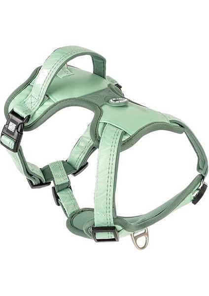 & Molly Urban Pets Matrix 2.0 Akıllı Künyeli Sport Köpek Göğüs Tasması – Üstün Kontrol ve Konfor