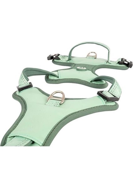 & Molly Urban Pets Matrix 2.0 Akıllı Künyeli Sport Köpek Göğüs Tasması – Üstün Kontrol ve Konfor modelleri