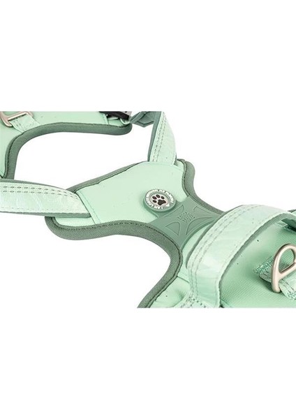 & Molly Urban Pets Matrix 2.0 Akıllı Künyeli Sport Köpek Göğüs Tasması – Üstün Kontrol ve Konfor fırsatları