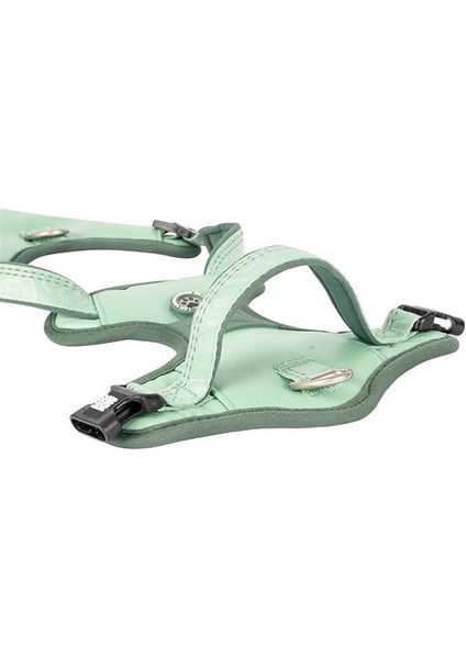 & Molly Urban Pets Matrix 2.0 Akıllı Künyeli Sport Köpek Göğüs Tasması – Üstün Kontrol ve Konfor indirimleri