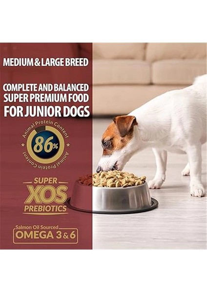 Plus M,l Breed Puppy Dog 28/16 L&r, 3 kg