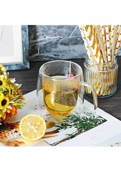 Borosilikat 2 Adet Çift Cidarlı Kupa Bardak, 250 ml Kulplu Cam Çay Kahve Süt Kupa indirimleri