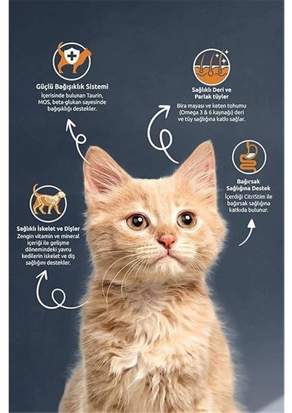 Kıtten Chıcken & Rıce Cat Food 10 kg fiyatları