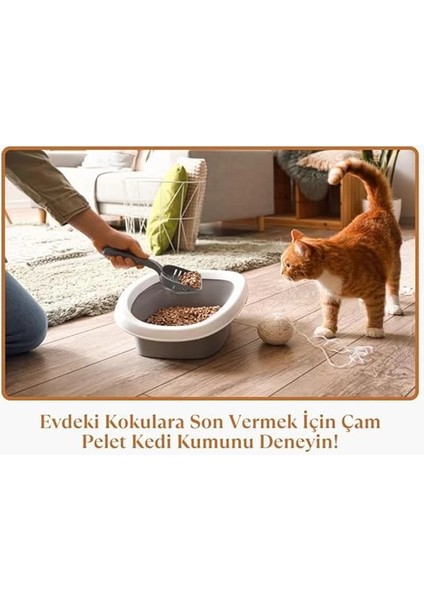 Çam Peleti Kedi Kumu 15 Lt Yavru/yetişkin Kediler ve Küçük Hayvanlar IÇIN%100 Organik fırsatları
