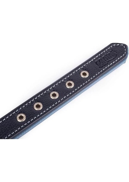 Hakiki Flotter Deri Köpek Tasması, Çift Katlı Deri, Ultra Dayanıklı Tasma indirimleri