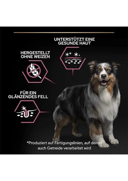 Medium Large Somonlu Kuru Köpek Maması, Yetişkin 7+ Yaş, 14 kg fırsatları
