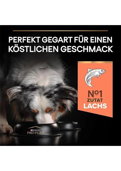 Medium Large Somonlu Kuru Köpek Maması, Yetişkin 7+ Yaş, 14 kg indirimleri