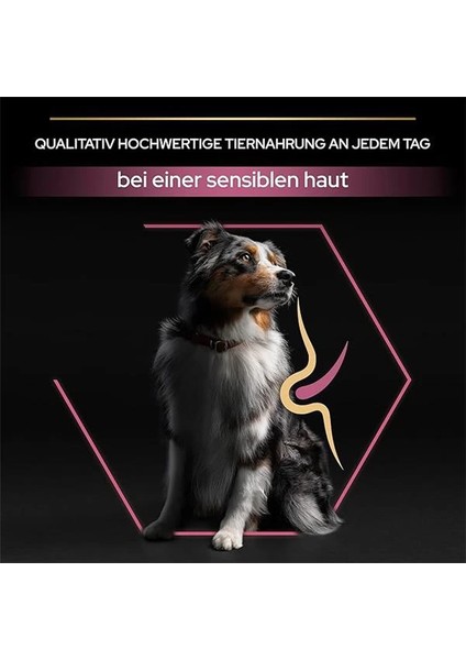 Medium Large Somonlu Kuru Köpek Maması, Yetişkin 7+ Yaş, 14 kg