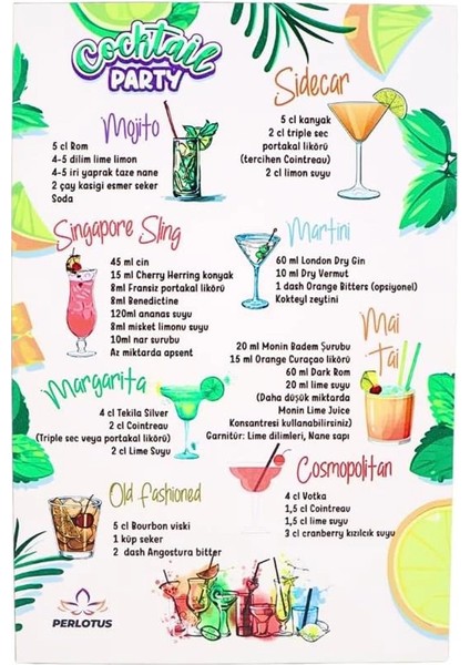 Kokteyl Shaker Jigger Mojito Tokmak Bar Kaşığı Kokteyl Tarifleri Seti