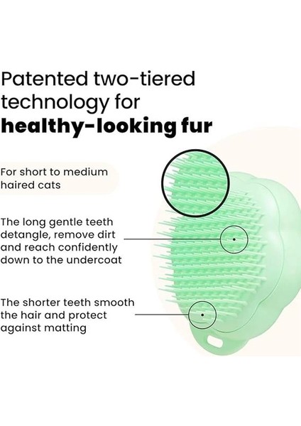 Pet Teezer - - Kediler Için Tüy Bakım Fırçası, Yeşil fiyatları