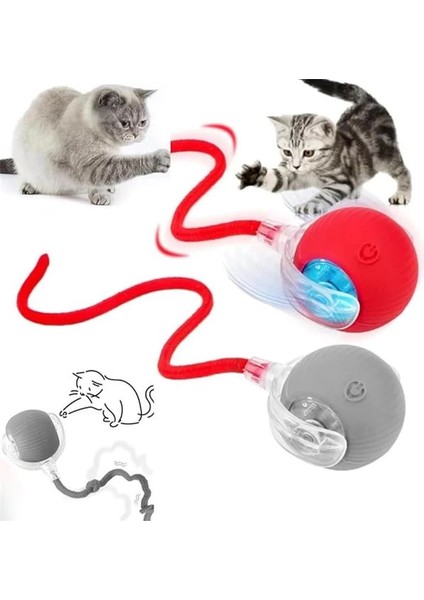 Kedi Oyuncağı Topu Kuyruklu Otomatik Yuvarlanan Top, Hareketli Kuyruk, USB Şarjlı, LED Işıklı, 3