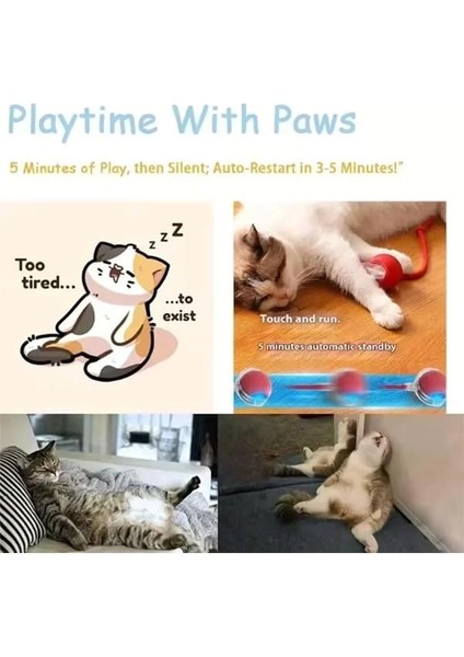 Kedi Oyuncağı Topu Kuyruklu Otomatik Yuvarlanan Top, Hareketli Kuyruk, USB Şarjlı, LED Işıklı, 3 fiyatları