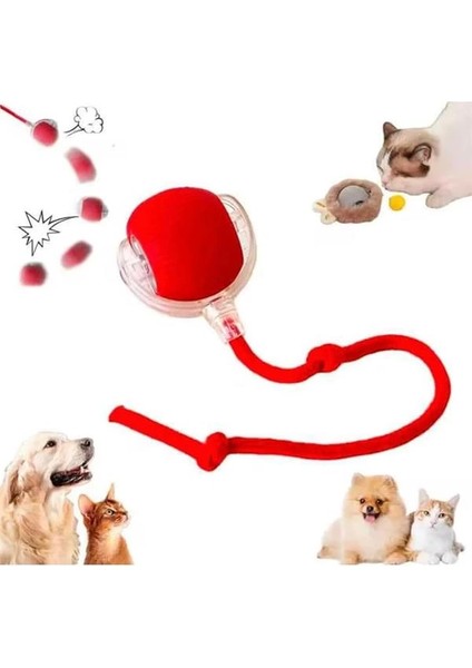 Kedi Oyuncağı Topu Kuyruklu Otomatik Yuvarlanan Top, Hareketli Kuyruk, USB Şarjlı, LED Işıklı, 3 fırsatları