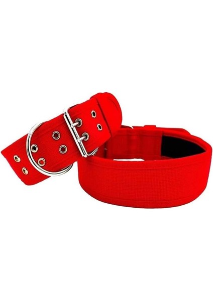 Kırmızı Yumuşak Dokulu Büyük Irk Kolon Köpek Sı Köpek Boyun Sı Kırmızı M fiyatları