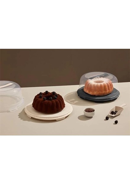 Kek Taşıma Kabı, Bpa Içermeyen Plastik, Saplı ve Kilitli Kek Fanusu, Taşınabilir ve modelleri