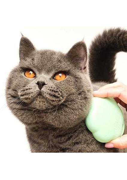 Pet Teezer - - Kediler Için Tüy Bakım Fırçası, Yeşil