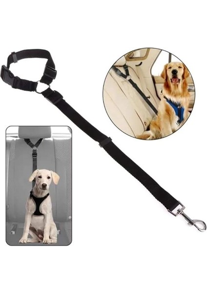 Köpek Emniyet Kemeri - Köpek Araç Tasması ve Gezdirme Tasması fiyatları