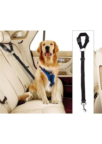 Köpek Emniyet Kemeri - Köpek Araç Tasması ve Gezdirme Tasması fırsatları