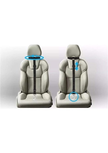 Köpek Emniyet Kemeri - Köpek Araç Tasması ve Gezdirme Tasması indirimleri