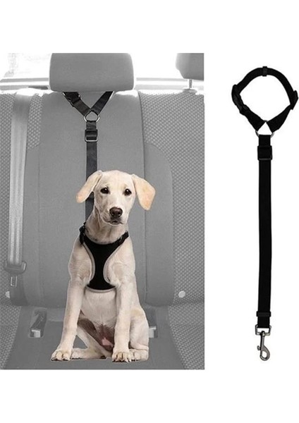 Köpek Emniyet Kemeri - Köpek Araç Tasması ve Gezdirme Tasması