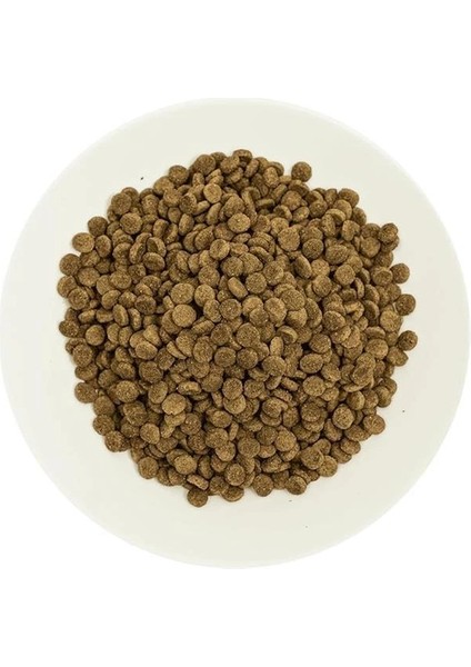 Pro 33, Kısırlaştırılmış Kediler Için, Hipoalerjenik, Somon Balıklı ve Karidesli Kuru modelleri