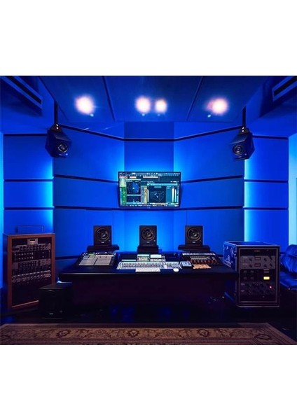 Eris Pro 4 | 2-Yollu, Biamp, Aktif, 4.5" Coaxial Stüdyo Monitör