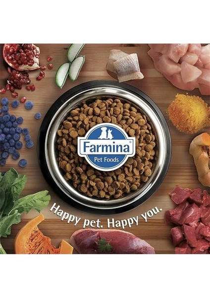 Yavru Kedi Maması Tavuk & Pirinç 10 kg