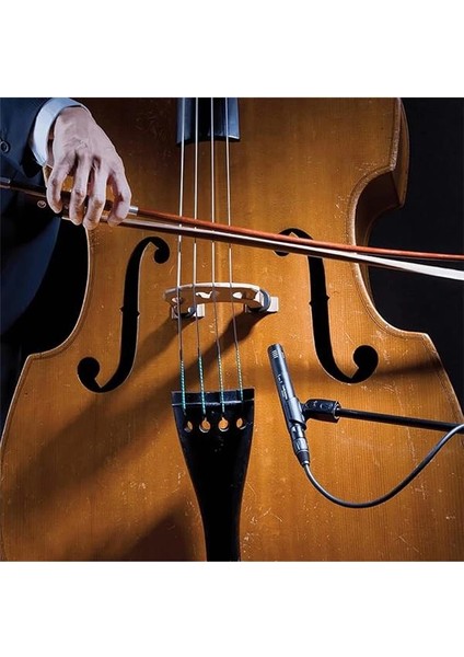 Audio-Technica AT2031 Kardioid Kondenser Kalem Mikrofon fırsatları