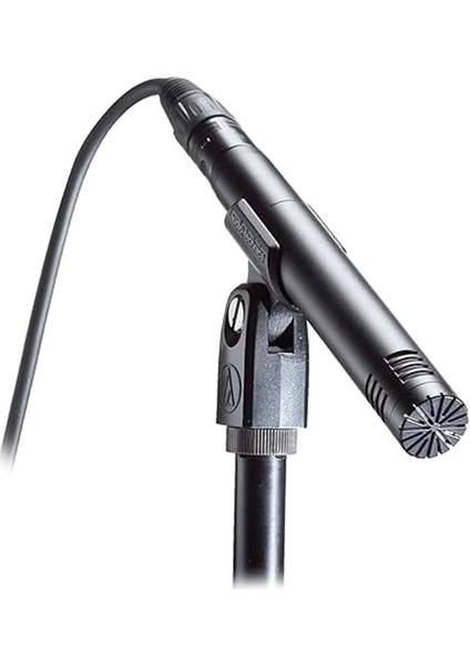 Audio-Technica AT2031 Kardioid Kondenser Kalem Mikrofon